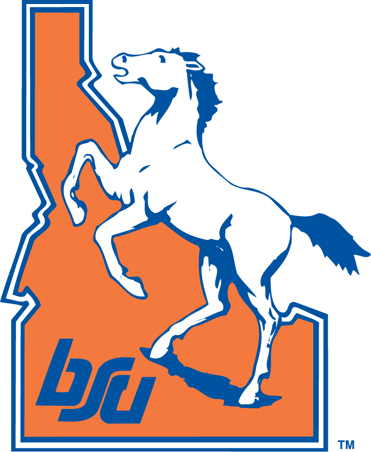 Boise State Broncos 1983-2002 Alternate Logo iron on transfers for clothing